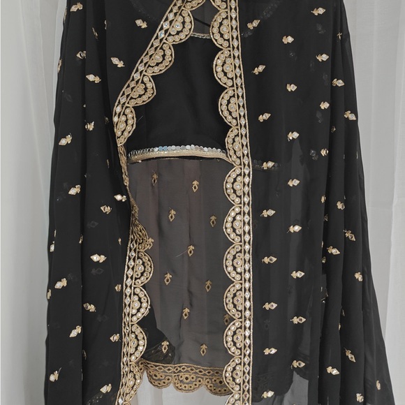 Lehenga - Picture 4 of 6